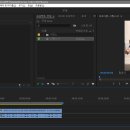 어도비프리미엄프로v.2.4.12로 동영상 크롭. 이미지