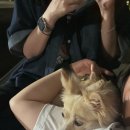 (주)드림에이치엔제이 | w1) 웨딩밴드 예물 종로 제이버튼 당일예약, 상담 및 계약까지 한방에 끝내고 온 후기!