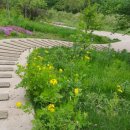 은평뉴타운5단지 이미지