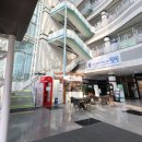 장흥군북부통합보건지소 | 평택 송탄보건소 산전검사 방문 후기, 가임력 검사 신청방법 (임신 사전 건강관리 지원)
