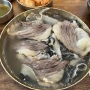 이오공리본꽈샤 | 일산 서동관 공혁준 추천 한우곰탕 맛집 이오공 솔직후기