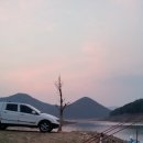 미라실로 Daum카페