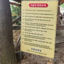 양덕점 기아오토큐 | 포항 무룡승마장 2024학년도 학생승마 체험 신청방법 및 승마후기