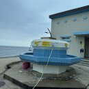 관성솔밭해변 이미지