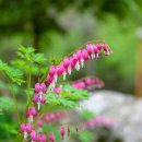 뜨랑밸리 이미지