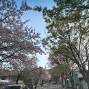 가야공원골프클럽 이미지