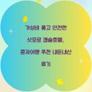 호텔여행 | 가성비 좋고 안전한 삿포로 캡슐호텔, 혼자여행 추천 내돈내산 후기