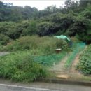 소답동148 이미지