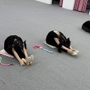 활력체조 | 활력 가득한 하루, 아름다운 나의 리듬을 찾아서! 잠실리듬체조