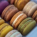 제과기능사 자격증 이미지