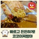 퍼블릭코코 이미지