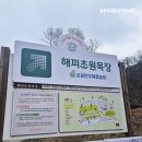 남매목장 | 해피초원목장 강원도 춘천 당일치기 데이트 여행코스 동물먹이주기체험 장소 추천