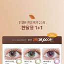 렌즈베리 이미지