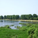 영신유원지 이미지