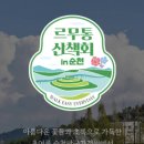 26.6.13일 관심종목 근황