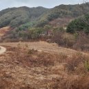 봉화공인중개사사무소 이미지