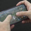 이프멍멍 이미지