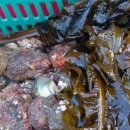 (주)우루루 이미지