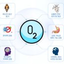 오투메디케어
