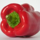 피망 이미지