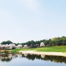 마이다스 레이크 이천 골프& 리조트 티스토리
