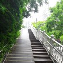 신나무실육교 이미지