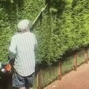 Casual labour work helping garden &amp; small projects (Royal oak station) 이미지