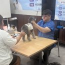 애견운동공원 이미지