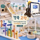 가야금 | 대구 근교 아이랑 가볼 만한 곳 실내놀이터가 있는 고령 소리체험관 후기