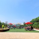 카페좌구산 다나우토바 이미지