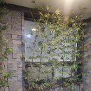 스시와 아주점 이미지