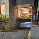 새천년로 | ✨ 기흥구 골프레슨 후기｜신갈동 골프 D300 골프 아카데미 남편 레슨 후기 ⛳