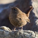 둥지 몸짓의 보금자리 이미지