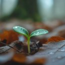 남천선하한의원 이미지