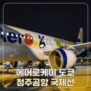 더플레이스케이 | 청주공항 국제선 도쿄 에어로케이 지연 - 나리타공항 3터미널 입국 후기