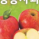 씨제이프레시웨이 돌코리아 이미지