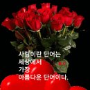 성안드레아 병원 이미지