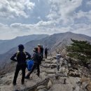 능동농장 이미지