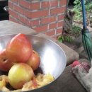 부산혜남학교 이미지