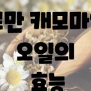 온가드 에스테틱
