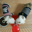 꼬꼬마 돼지 이미지