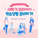 소이하우스 | 초등학생 의자추천 시디즈 링고 고정형 소이밀크 내돈내산 2학년 후기 언박싱 모던하우스 책상 궁합