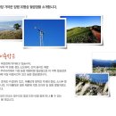 양평동막골