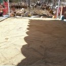 가창초교병설 이미지