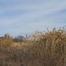 부곡수변공원 이미지