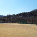 성수면 야구장 Daum카페