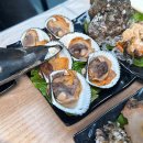 목포 활어회 플라자 이미지