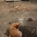 순한농장 이미지