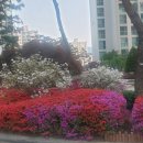 한티역약국 이미지