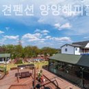 속초 애견펜션 양양 해피 플레이스 이미지